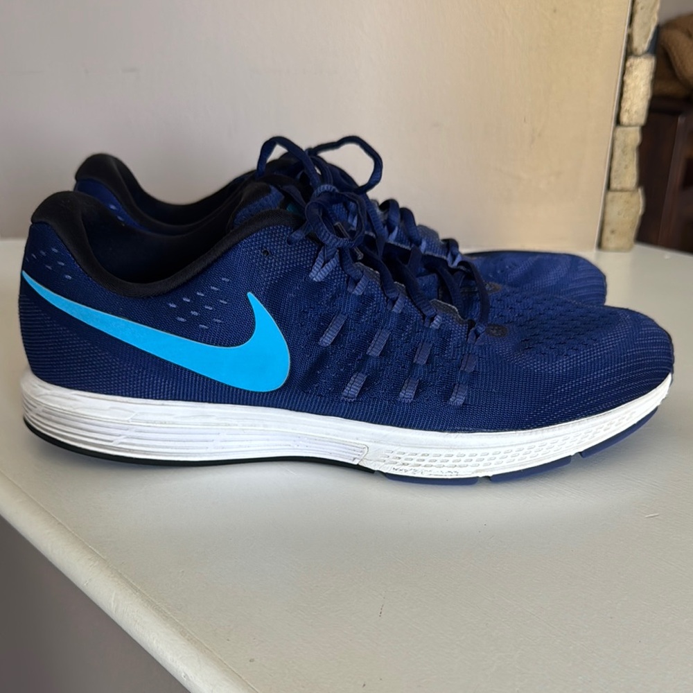 Nike Men's Blue Running Shoes